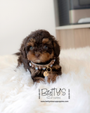 Rolo