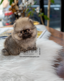 Suki
