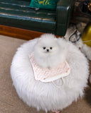 (Sold)Dumpling