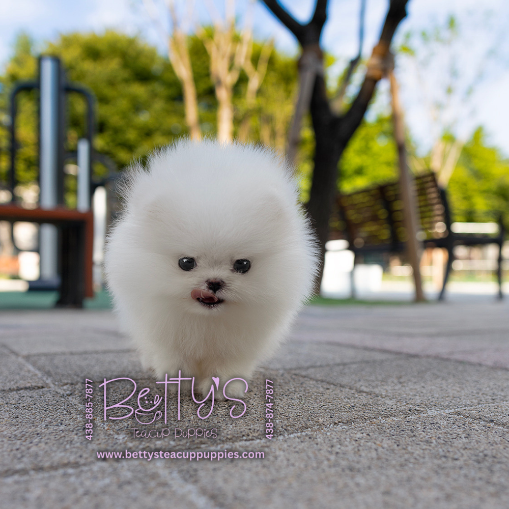 (Pending)Marshmallow