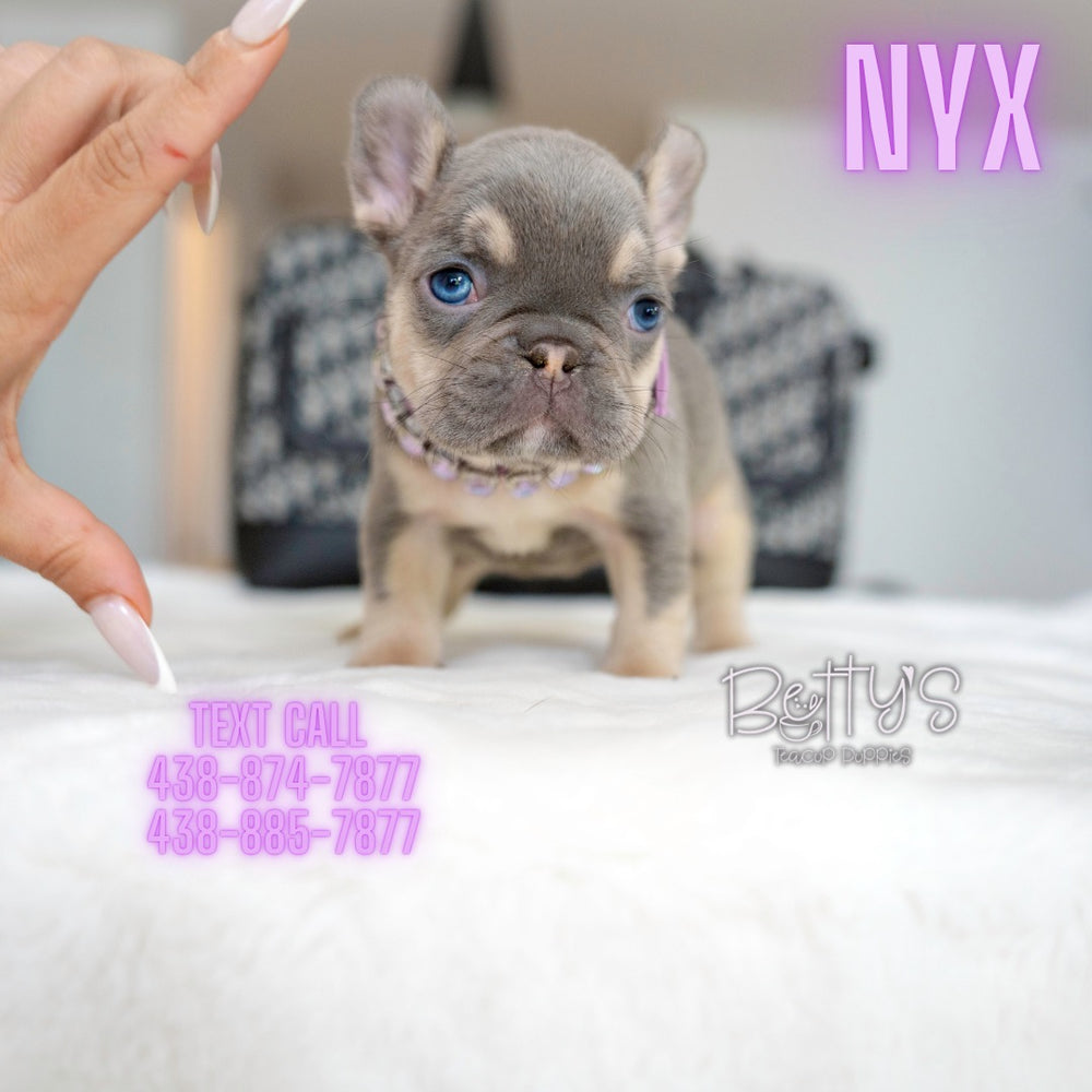Nyx