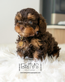 Rolo