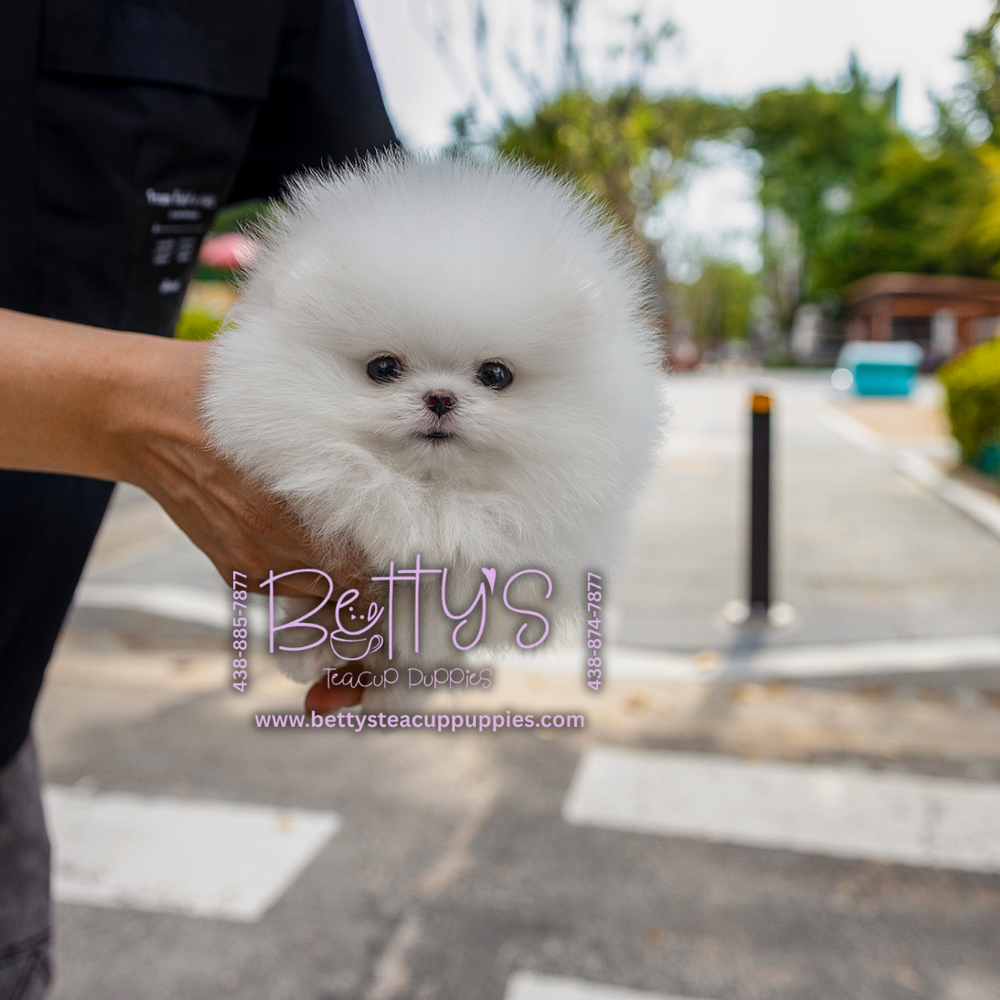 (Pending)Marshmallow