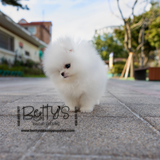 (Pending)Marshmallow