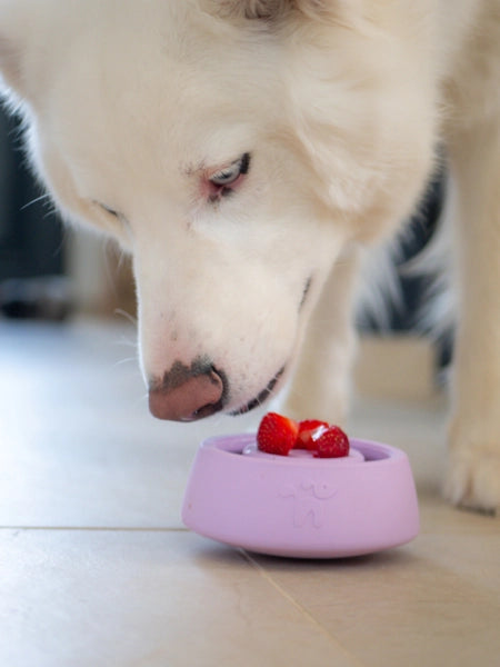 Yoomy Wobble Bowl Lavender