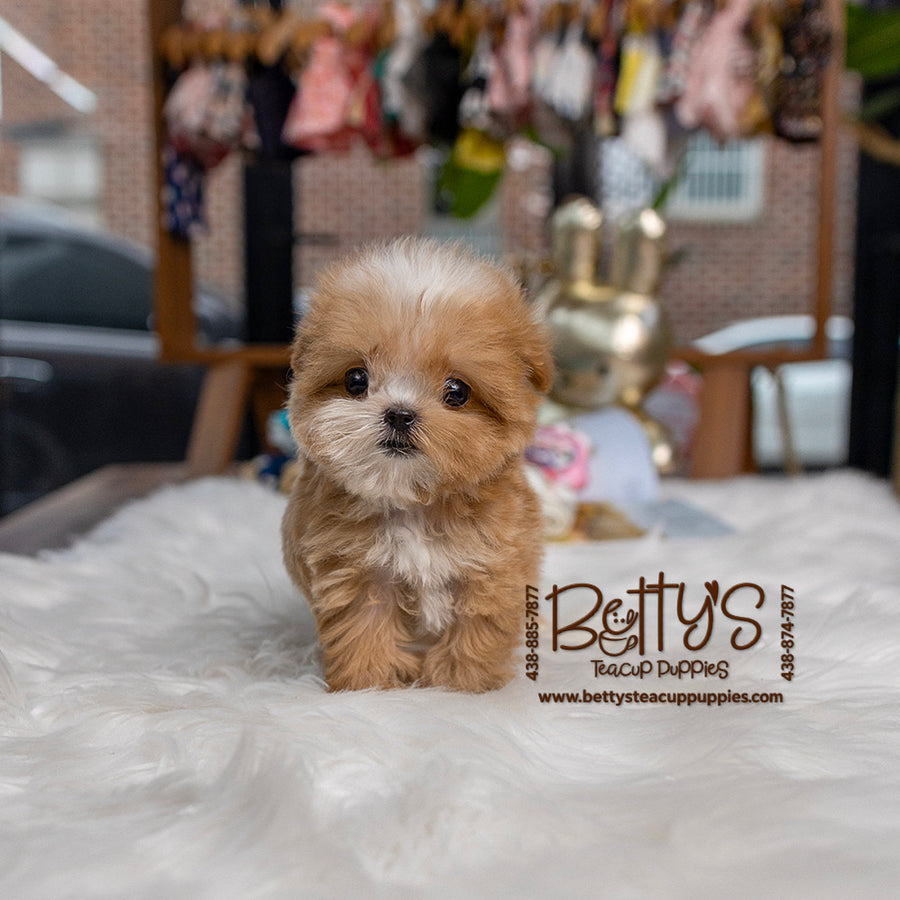 Taffy
