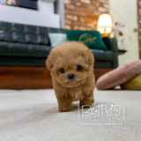 Peanut
