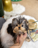 Bijou