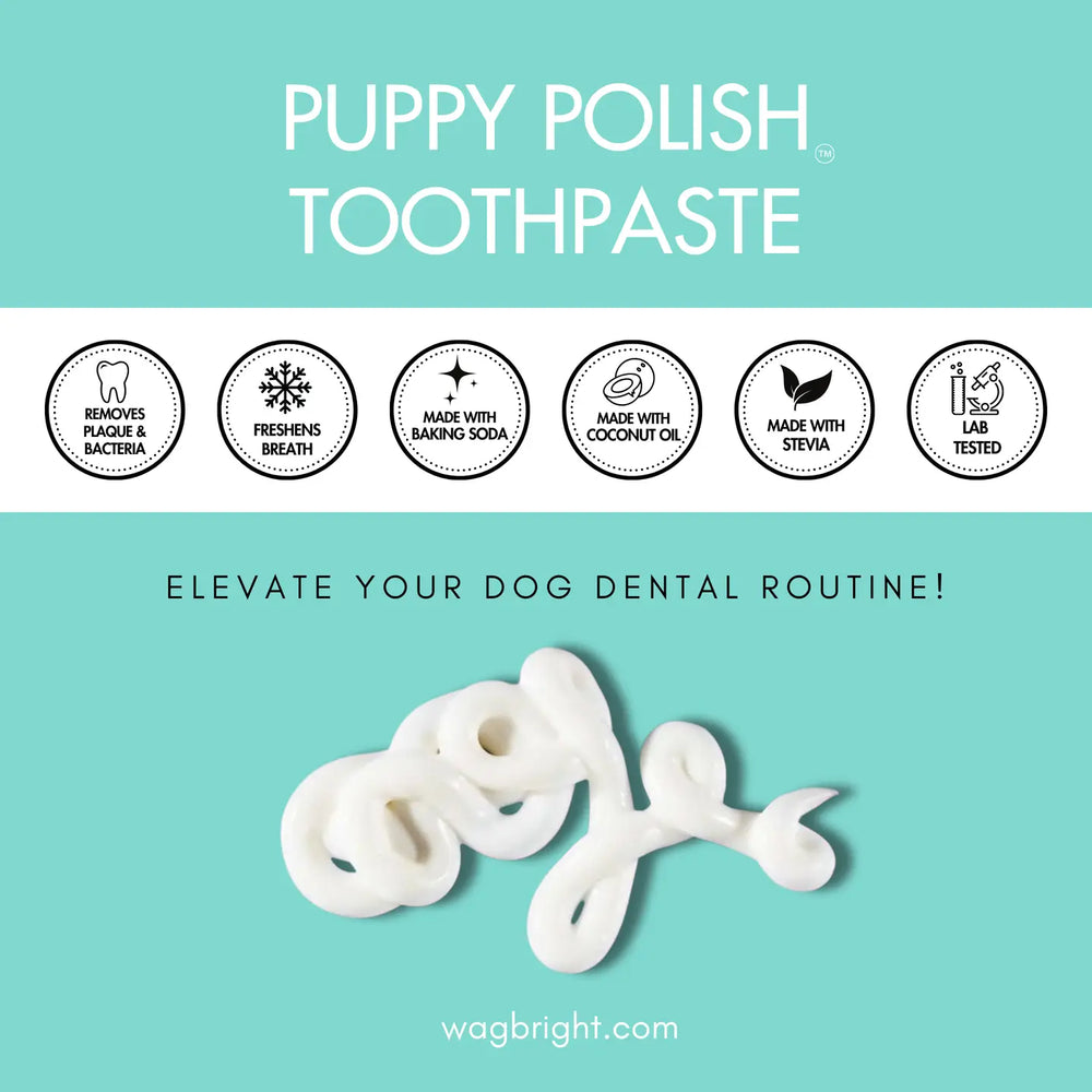 Puppy Polisher Eco Toothbrush