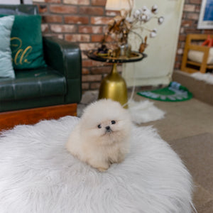 Nilla