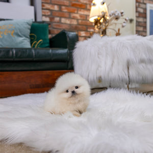 Nilla