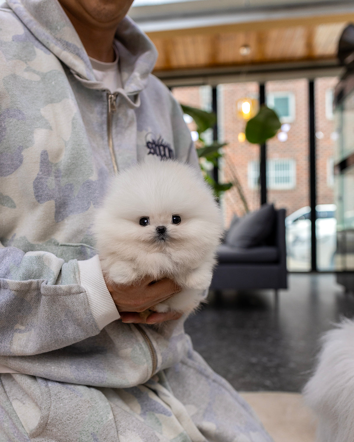 Nilla