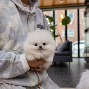 Nilla