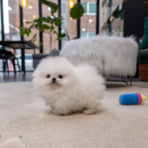 Nilla