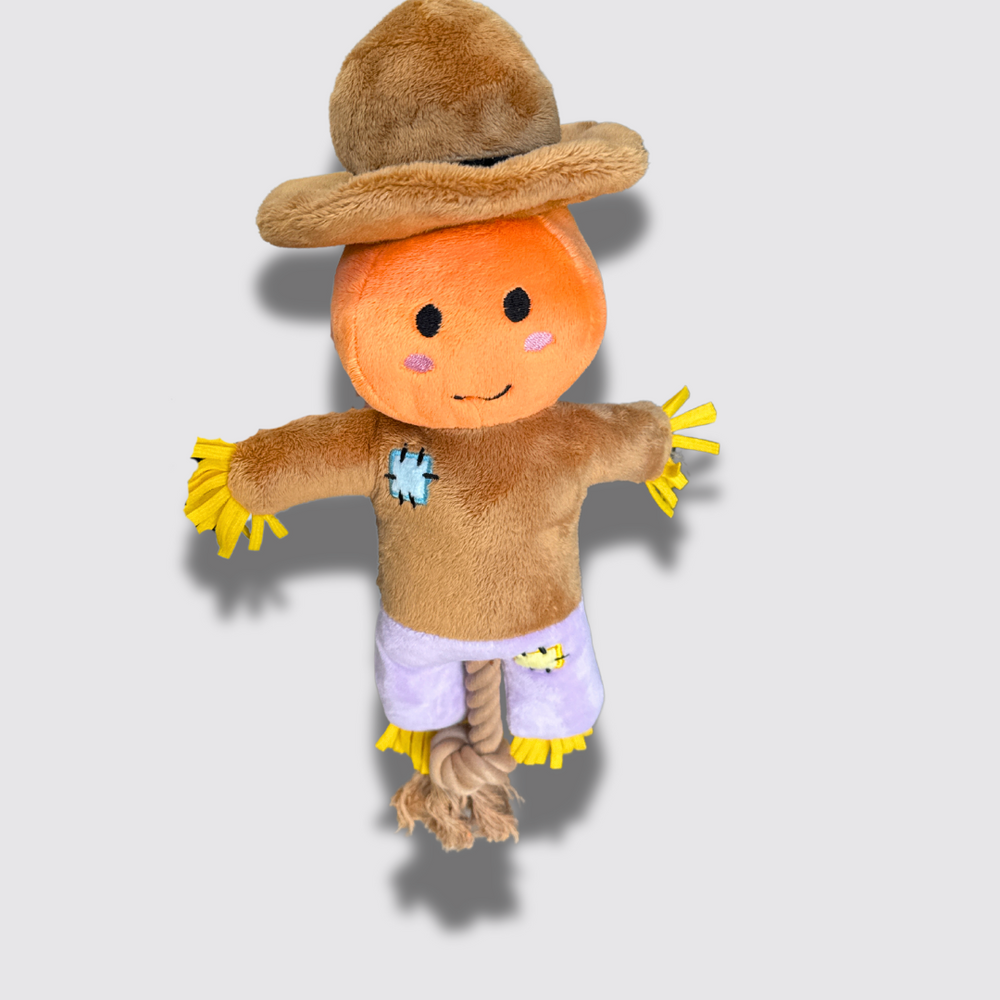 Scarecrow dog toy