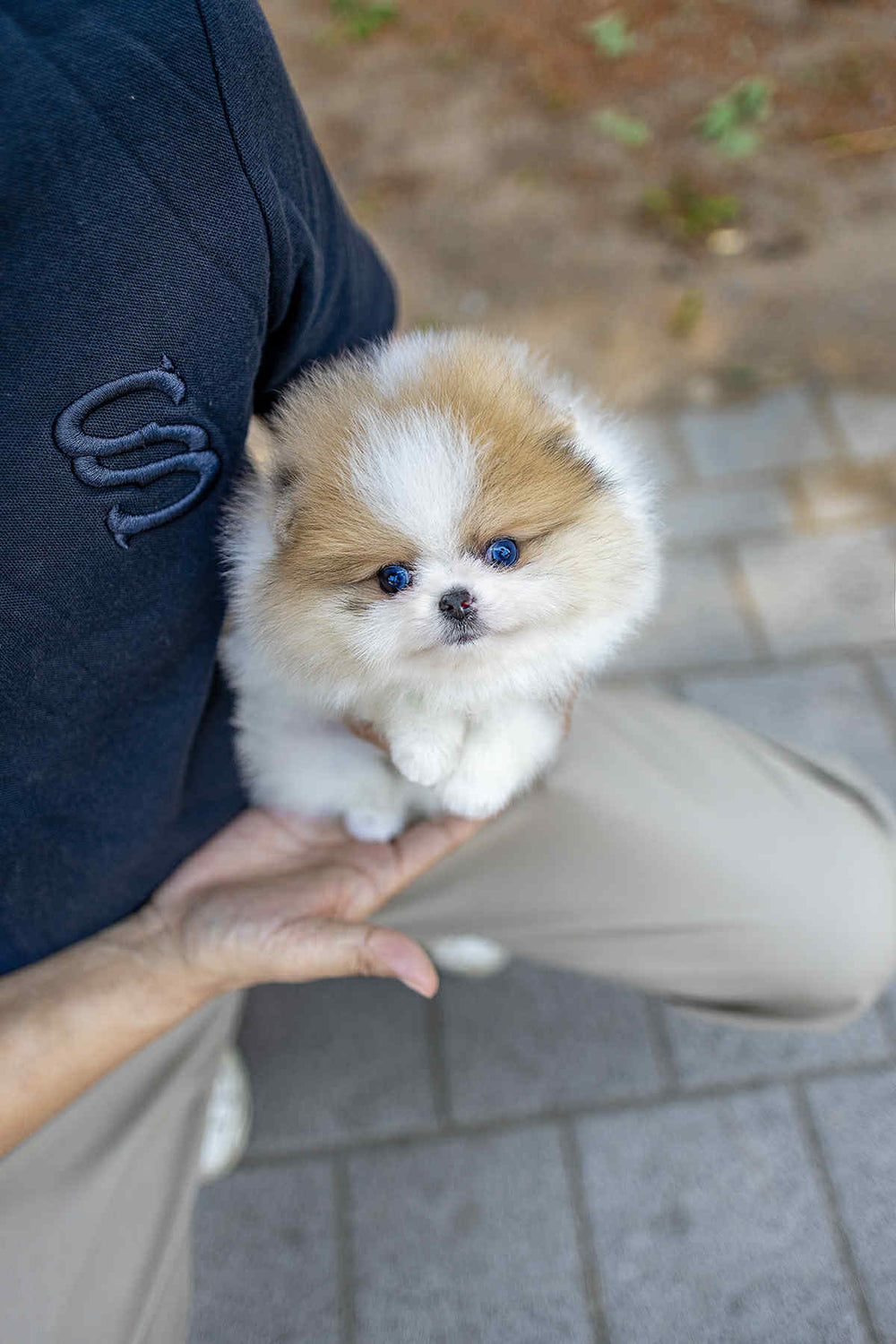 Mochi
