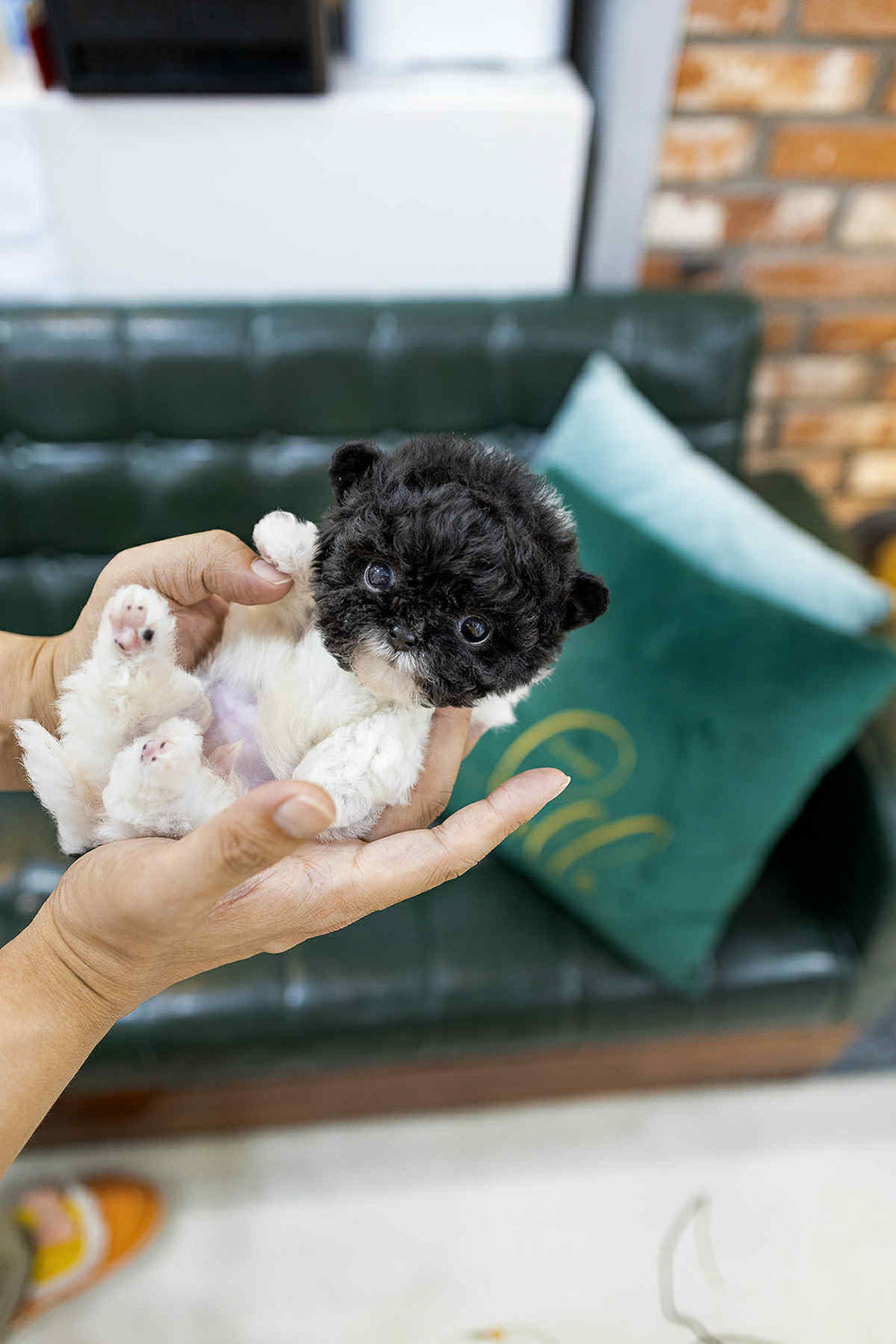 Oreo