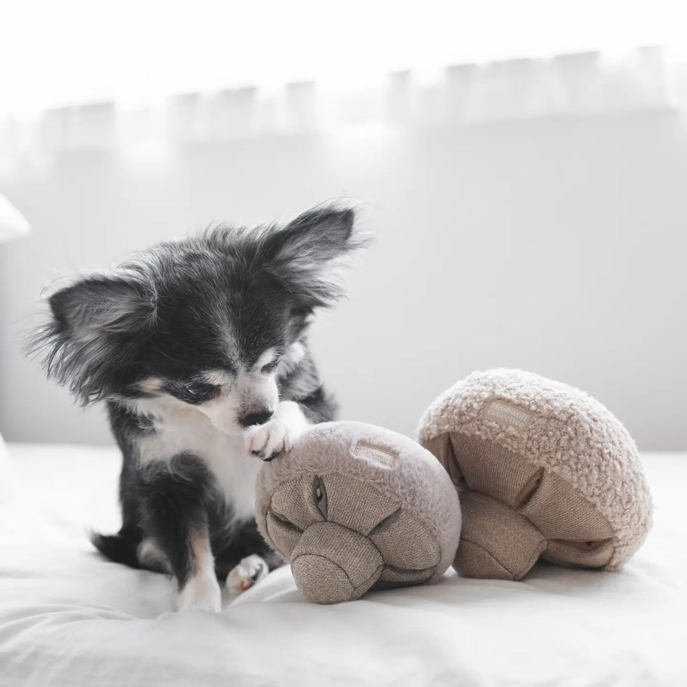 Guu nosework enrichment toy